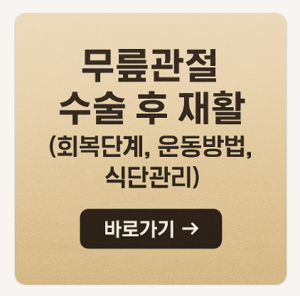 무릎관절 수술 후 재활 (회복단계, 운동방법, 식단관리)