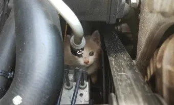 차에서 이상한 소리 엔진룸 탁탁 소음 원인과 수리 꿀팁에 대해_29