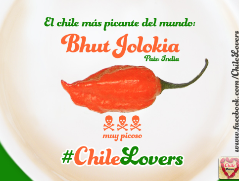 부트졸로키아_부작용