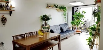 플랜테리어 거실 식물배치 물주기 습도관리 초보 인테리어 팁_5