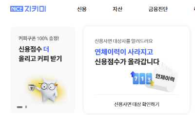 신용등급 조회
