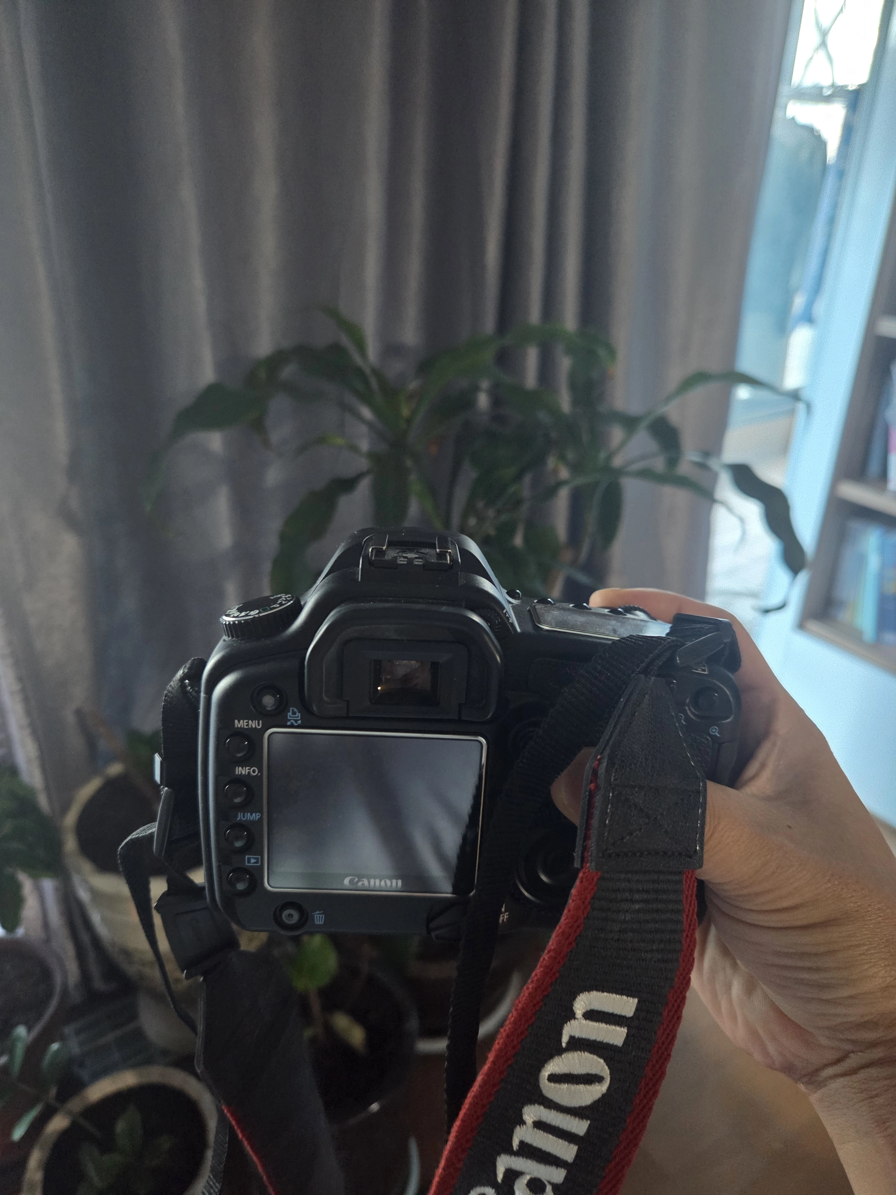 Canon EOS 30D로 사진을 찍고도 바로 확인하지 않았던 날