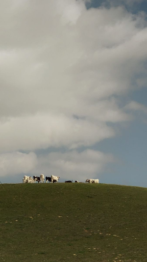 스마트폰 배경화면 잠금화면 자연 풍경 무료 다운로드