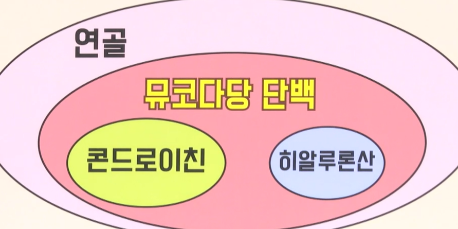 뮤코타당 단백