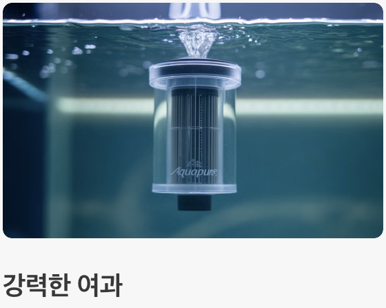 수질 관리 - '깨끗한 물'이 최고의 보약