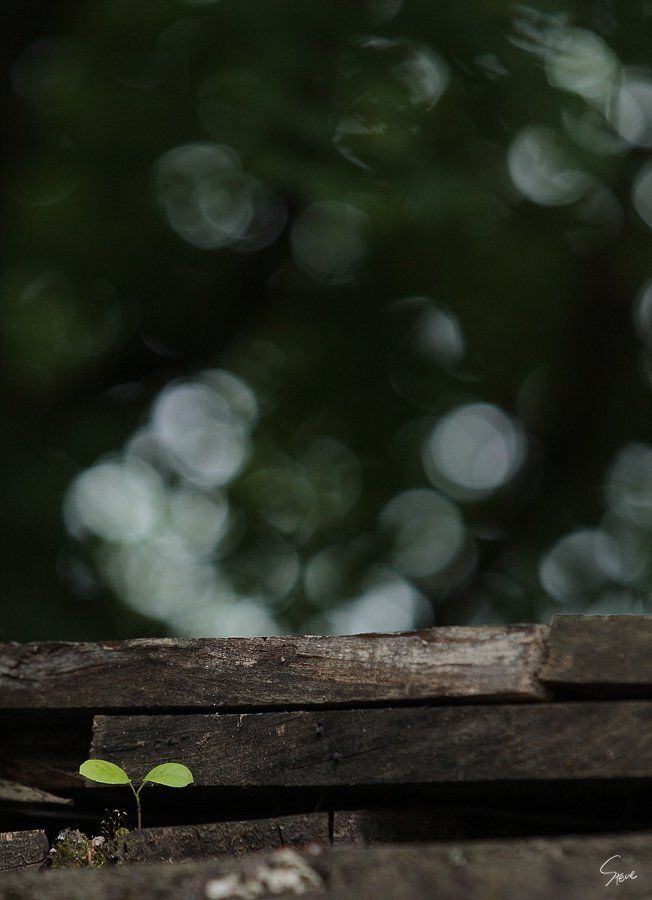 법륜스님 정토회