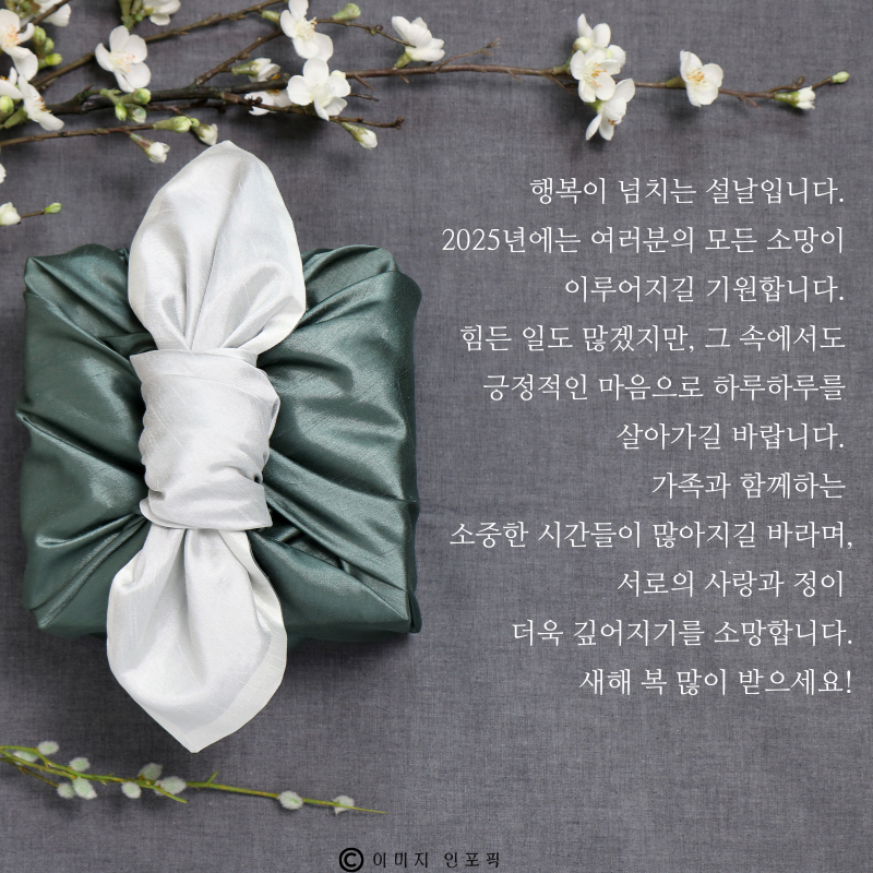 구정 설날 인사말 문구 이미지 모음집