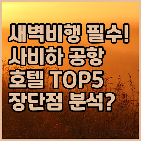 새벽 비행 승객 필수 이스탄불 사비하..
