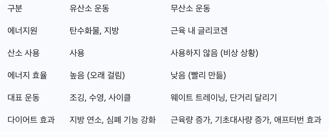 표 1: 유산소 vs 무산소 운동 특징 비교