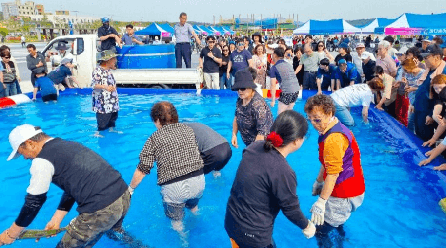 2025 홍성남당항 바다송어 요리대회 & 수산물 축제 가이드