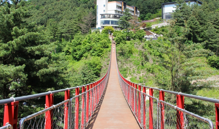 포천 어메이징파크