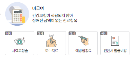 비급여 진료비 조회 확인서비스