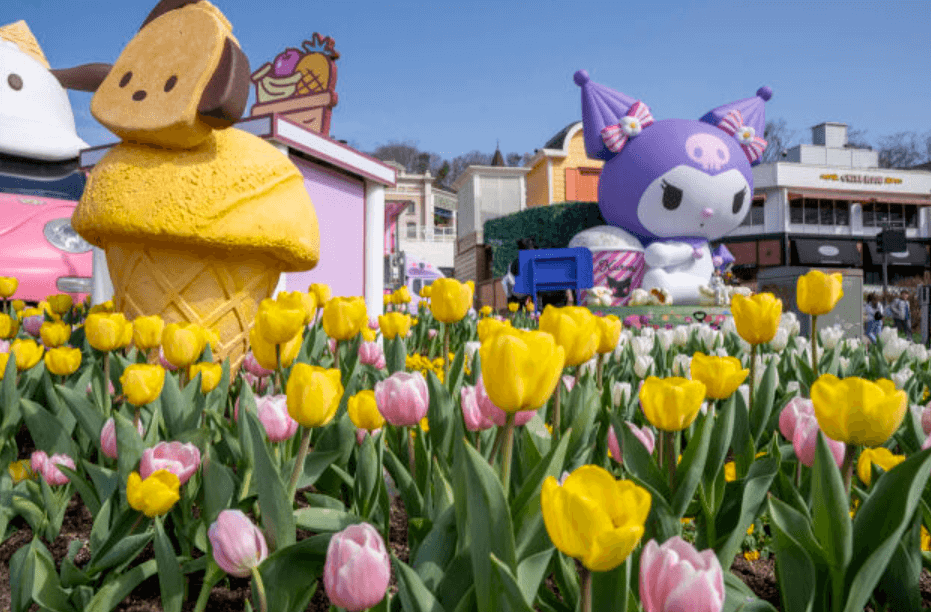 2025 에버랜드 예매 가이드 – 이용 방법 & 할인 정보 총정리