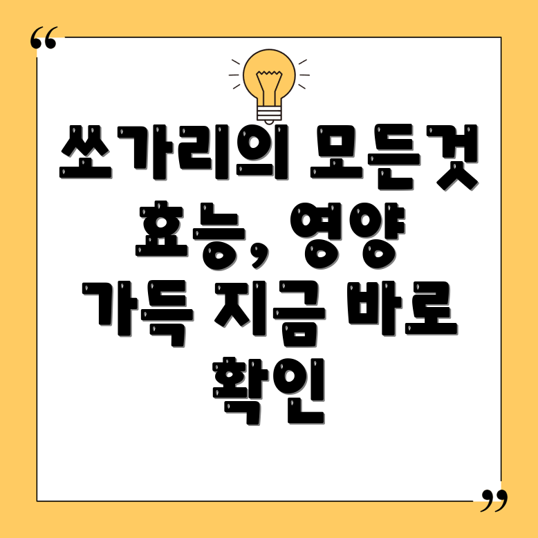 쏘가리