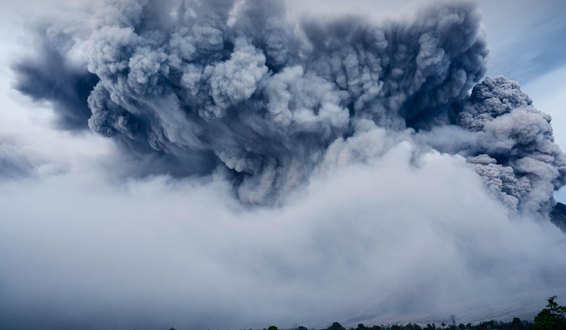 일본 대지진 현황 이미지