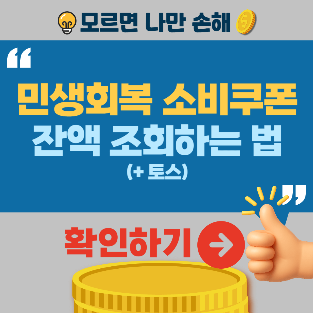 민생회복 소비쿠폰 잔액조회 확인 NH카드 KB카드 네이버페이 카카오페이 토스