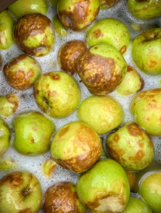 한국기행-진안-차정단-천연발효식초-