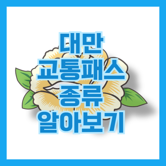 대만 여행 필수템! 교통패스 종류별 비교 및 사용법 가이드