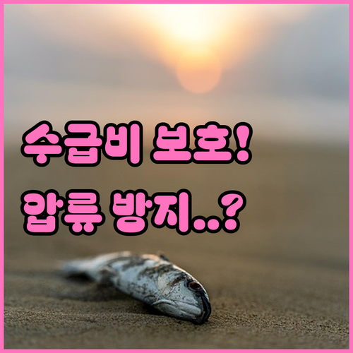 행복지킴이통장 입출금 제한 사항과 수..