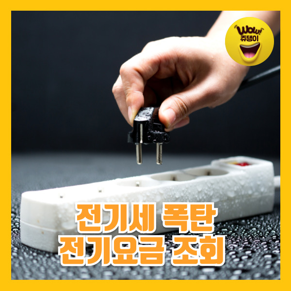 백지영 전기세 폭탄 전기요금 조회 한전 실시간 전기세 계산 고객 등록번호 확인 방법