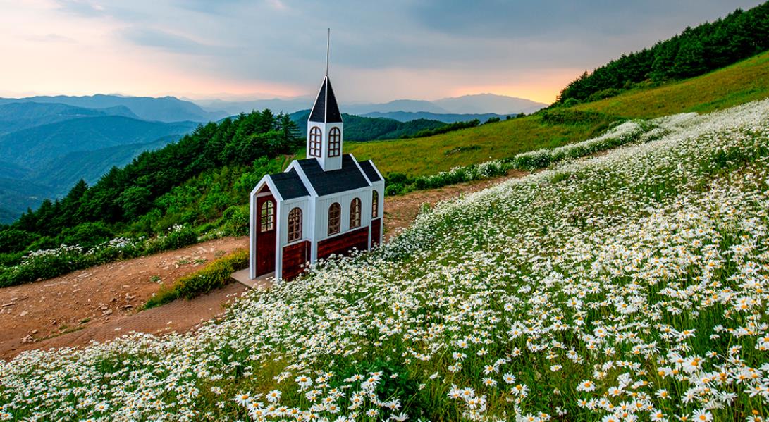 평창 육백마지기