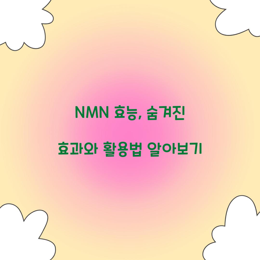 NMN 효능