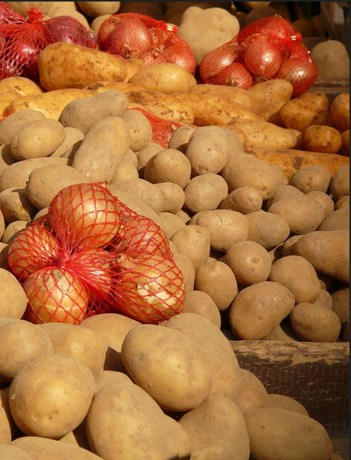 냉장보관 vs 실온보관 (고구마, 감자, 양파)