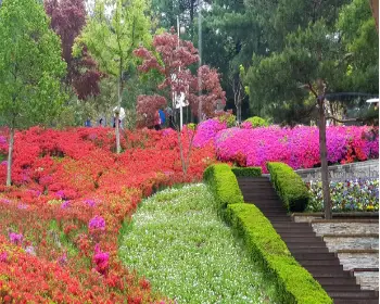청남대_20