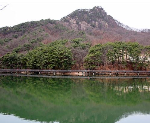 포천 벚꽃