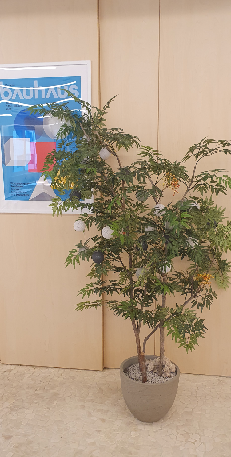 파이브스팟 역삼점 사진