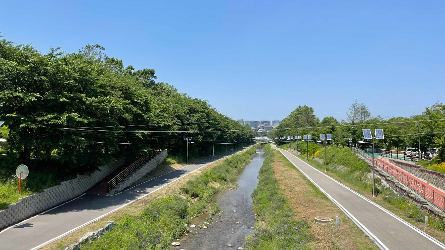 양재(매헌)시민의 숲 나들이가는길 여의교