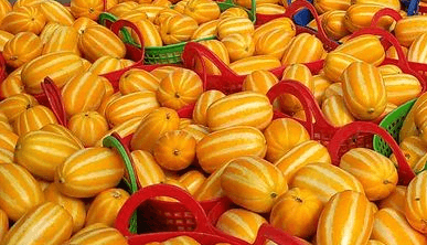 썸네일용-참외사진