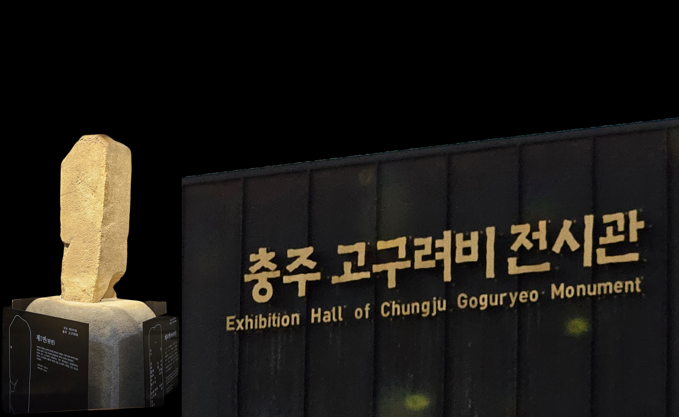 충주고구려비
중원고구려비
충주고구려비 전시관
중원고구려비 전시관
장수왕
광개토대왕릉
장군총
고구려 역사공부
충주 어린이 체험
충주 카누체험