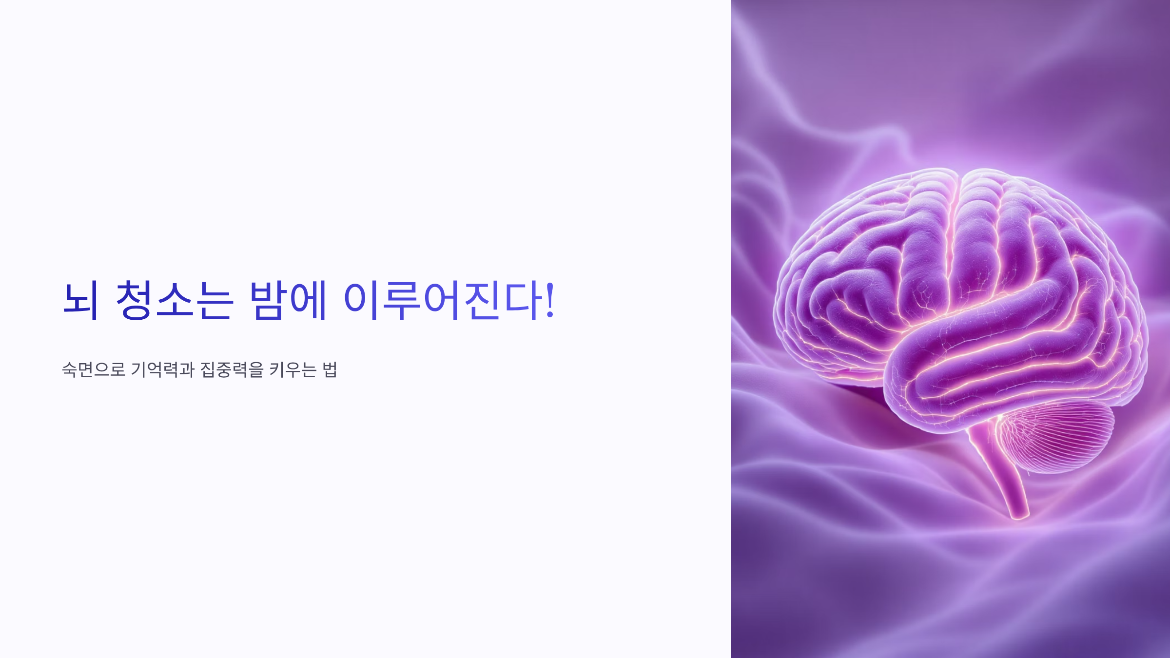 뇌 청소는 밤에 이루어진다