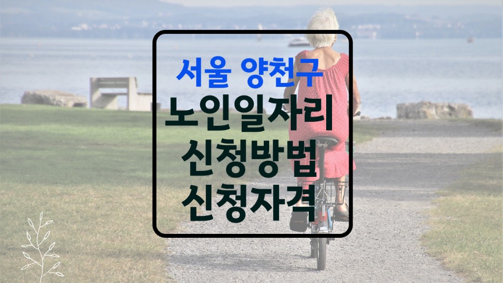 양천구 노인일자리