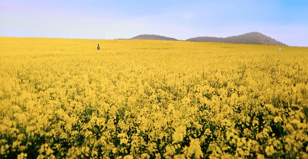고창 학원 농장 입장료 총정리 관련사진