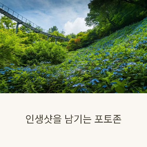화담숲 수국축제