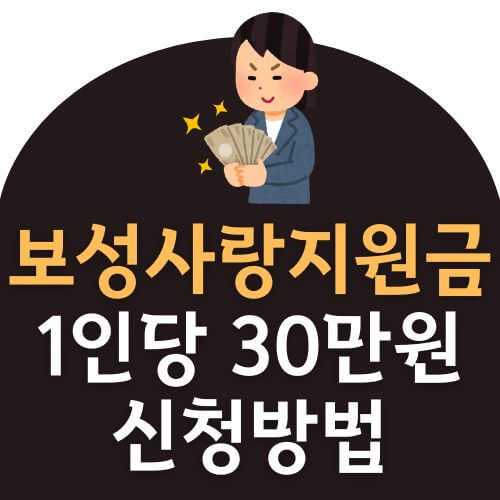 보성사랑지원금 30만원 신청방법 및 사용처