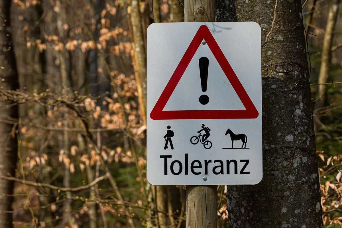 비주류 직업 내가 여행길에서 우연히 본 산악 지형 표지 보수원의 조용한 하루 일과 소개