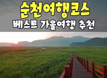 순천 여행코스 추천 순천만습지와 근처 맛집 일정 정리_6