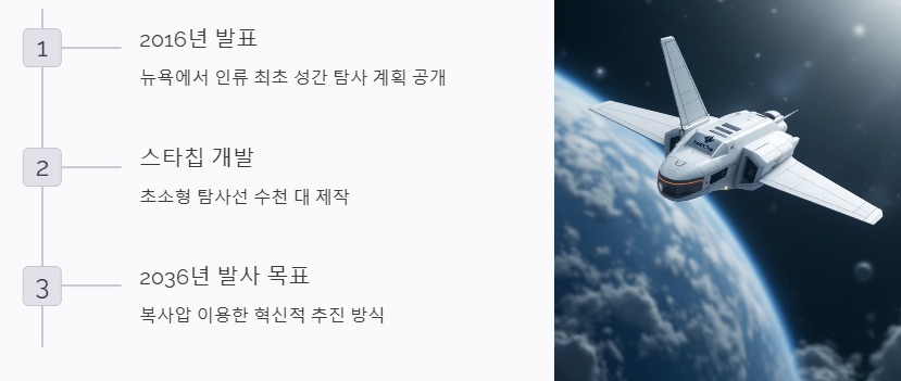 스타칩 프로젝트 개요