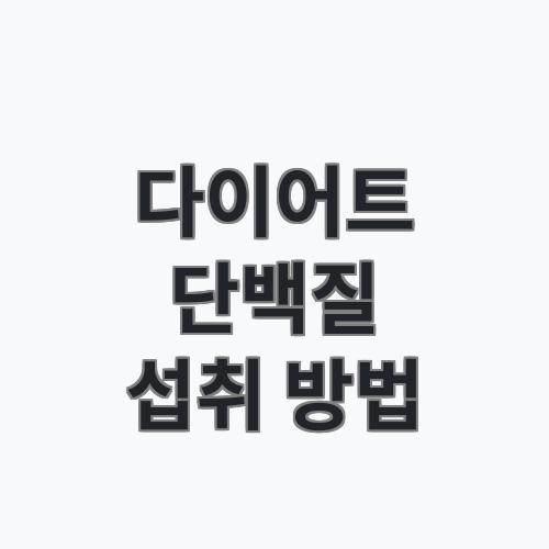 다이어트할 때 단백질 얼마나 먹어야 할까? 체중별 섭취량과 식단 기준