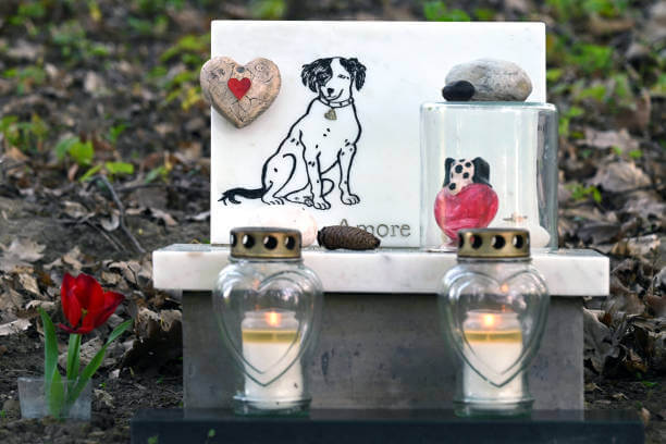 반려동물 장례식장 비용, 얼마나 들까요? 미리 알아두면 도움이 됩니다