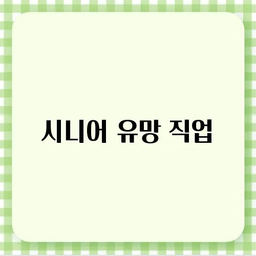 시니어 유망 직업