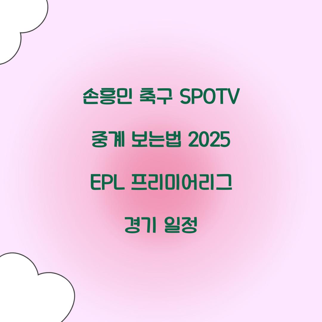 손흥민 축구 SPOTV 중계 보는법