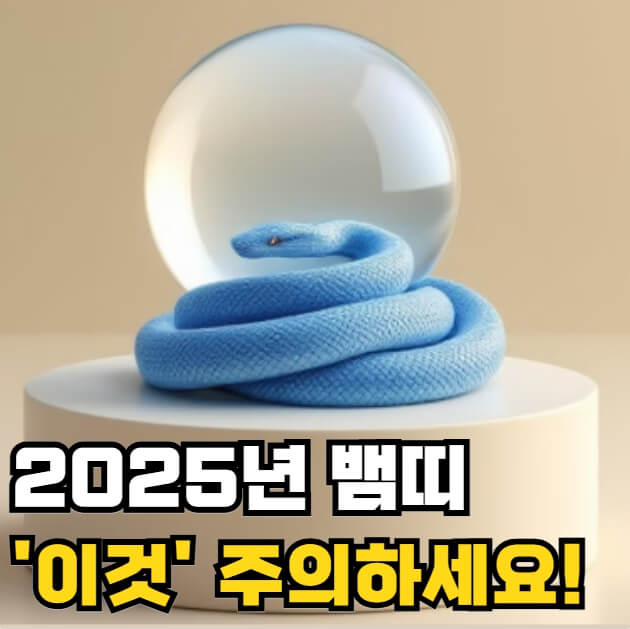 2025년 뱀띠