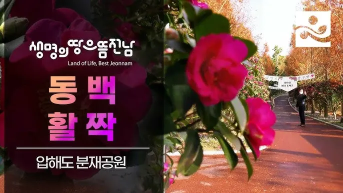 압해도 분재공원 근처 선착장에서의 낚시 농어와 도다리 포인트 소개 완벽 낚시터_6