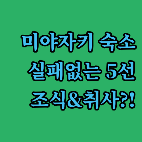 미야자키 여행 최적의 숙소 선택 5선..