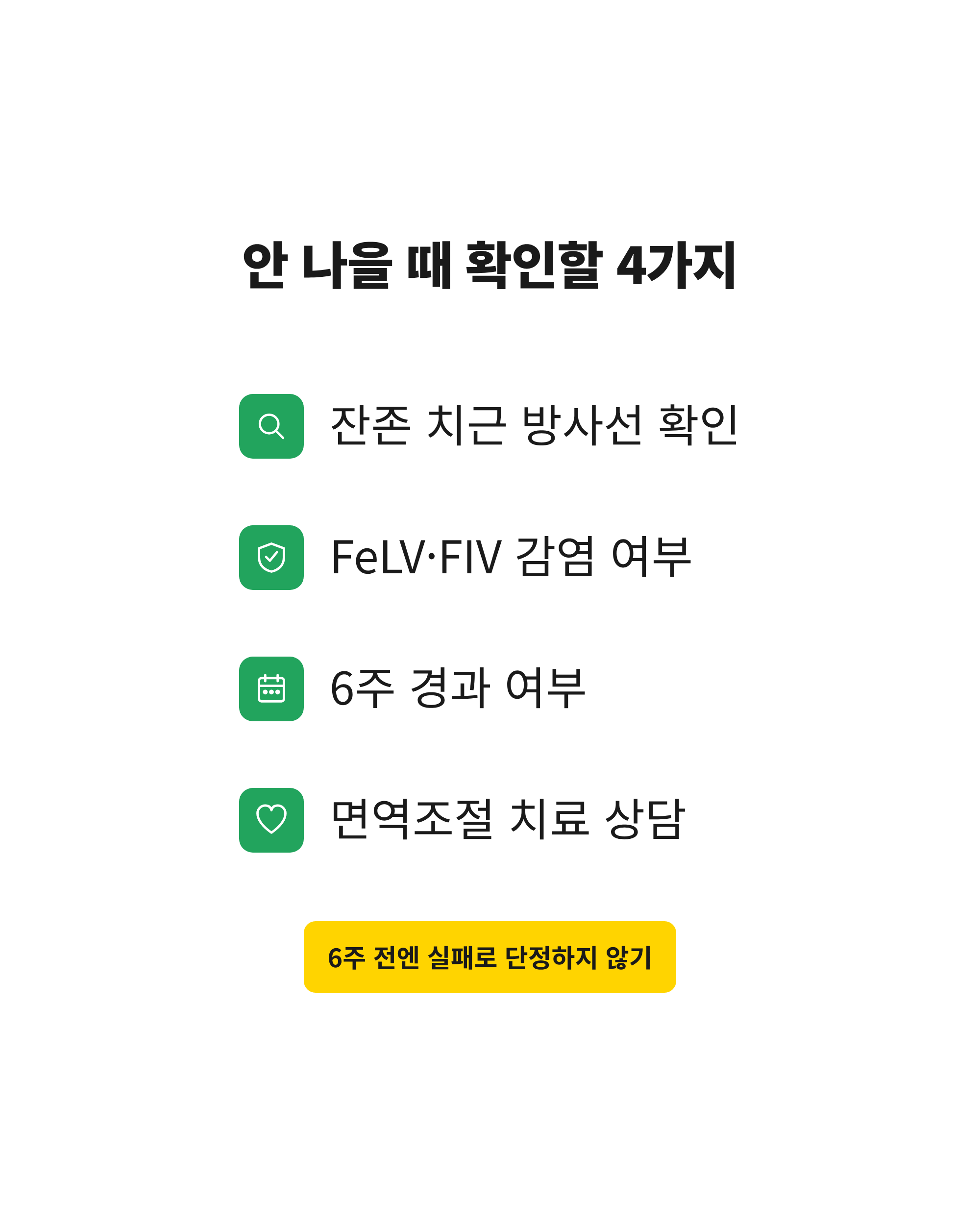 고양이 구내염 발치 후에도 낫지 않을 때 확인할 잔존 치근, FeLV&middot;FIV, 6주 경과, 면역조절 치료 4가지 체크리스트