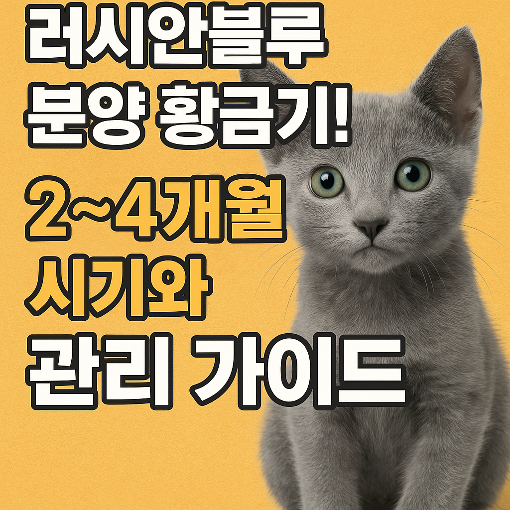 러시안블루 분양